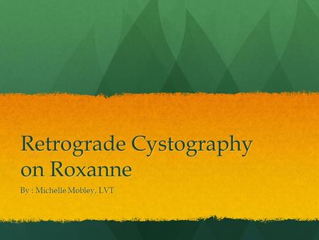 Retrograde Cystography on Roxanne By : Michelle Mobley, LVT.