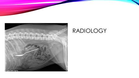 RADIOLOGY. NEXT GENERATION SCIENCE / COMMON CORE STANDARDS ADDRESSED! CCSS.ELA-Literacy.RST.11-12.2 Determine the central ideas or conclusions of a text;