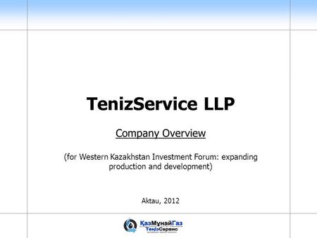 TenizService LLP Company Overview