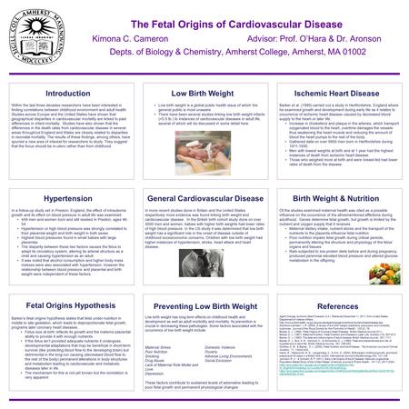 The Fetal Origins of Cardiovascular Disease Kimona C. Cameron Advisor: Prof. O’Hara & Dr. Aronson Depts. of Biology & Chemistry, Amherst College, Amherst,