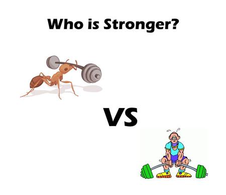 Who is Stronger? VS.