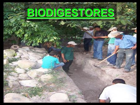 BIODIGESTORES. Materials 1.1 PVC macho adaptor ½” 2.2 five gallon buckets with the bottoms removed 3.1 PVC hembra adaptor ½” 4.2 non-corrosive washers.