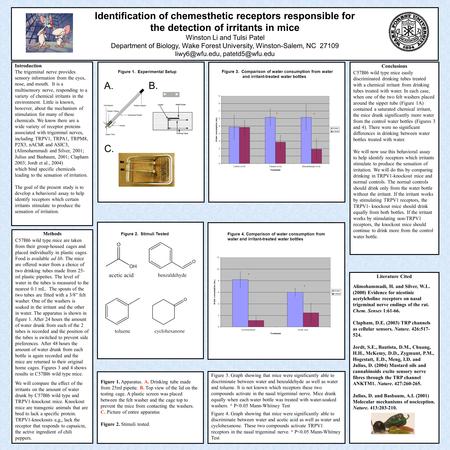 Identification of chemesthetic receptors responsible for the detection of irritants in mice Winston Li and Tulsi Patel Department of Biology, Wake Forest.