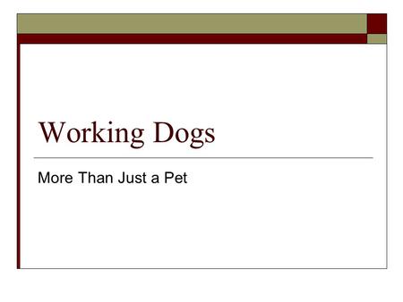 Working Dogs More Than Just a Pet. Click on a dog to learn more. Service Dogs Disaster Search Dogs Water Rescue Dogs Police Dogs Guide Dogs Fire Dogs.