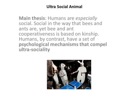 Ultra Social Animal Main thesis: Humans are especially social. Social in the way that bees and ants are, yet bee and ant cooperativeness is based on kinship.