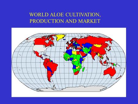 WORLD ALOE CULTIVATION, PRODUCTION AND MARKET. WORLD ALOE CULTIVATION ©Made in Africa Aloes ©Martin Heigan Aloe ramossisima Aloe marlothii South African.