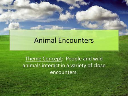 Animal Encounters Theme Concept: People and wild animals interact in a variety of close encounters.