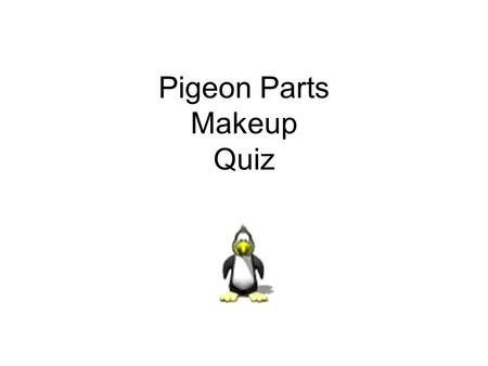 Pigeon Parts Makeup Quiz. #1 #1 = ______________________________.