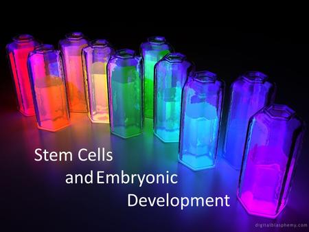 Stem Cells andEmbryonic Development. How old is this? What is it? What is this? How old is it? © Mark Hill, UNSW.