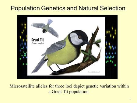 Population Genetics and Natural Selection