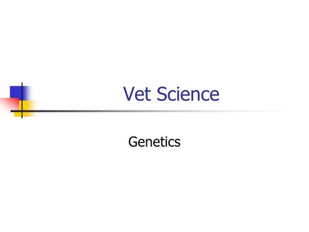 Vet Science Genetics.