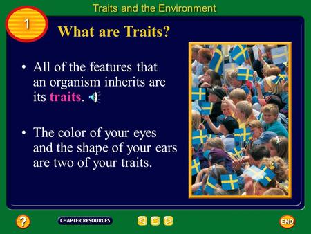 All of the features that an organism inherits are its traits. The color of your eyes and the shape of your ears are two of your traits. What are Traits?