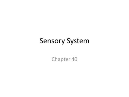 Sensory System Chapter 40.