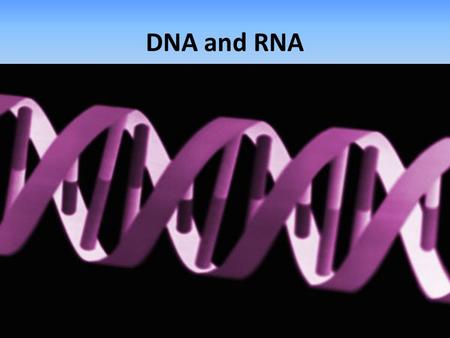 DNA and RNA.