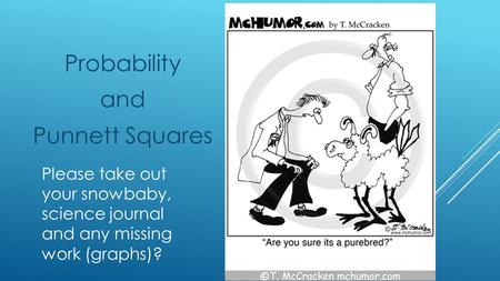 Probability and Punnett Squares Please take out your snowbaby, science journal and any missing work (graphs)?