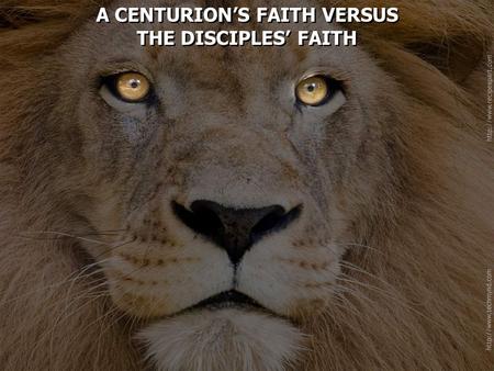 A CENTURION’S FAITH VERSUS THE DISCIPLES’ FAITH A CENTURION’S FAITH VERSUS THE DISCIPLES’ FAITH.