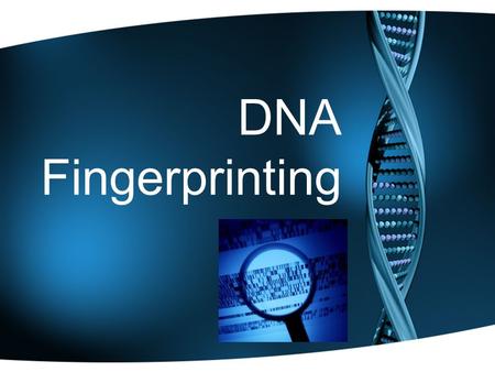 DNA Fingerprinting. DNA Structure Review Double stranded helix shape Basic unit is a nucleotide: Phosphate-sugar backbone Nitrogen bases hold two strands.