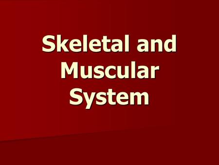 Skeletal and Muscular System