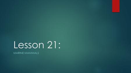 Lesson 21: MARINE MAMMALS. Common characteristics  Marine mammals share the following characteristics:  Give birth to live young  Nurse their young.
