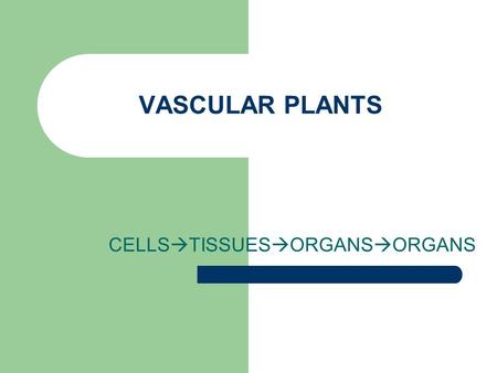 CELLSTISSUESORGANSORGANS