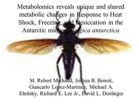 Metabolomics reveals unique and shared metabolic changes in Response to Heat Shock, Freezing, and Desiccation in the Antarctic midges, Belgica antarctica.