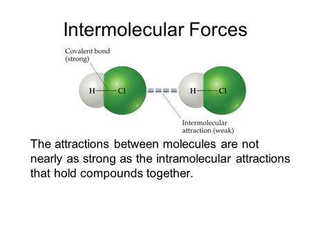 Intermolecular Forces