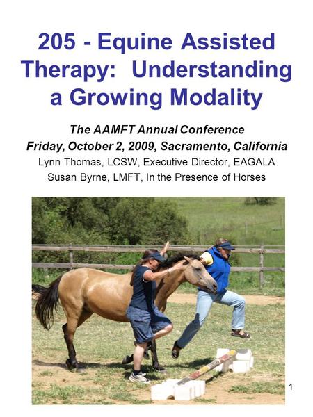 1 205 - Equine Assisted Therapy: Understanding a Growing Modality The AAMFT Annual Conference Friday, October 2, 2009, Sacramento, California Lynn Thomas,