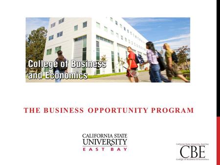 THE BUSINESS OPPORTUNITY PROGRAM. THE BUSINESS OPPORTUNTY PROGRAM (B.O.P.)  Represents commitment to regional stewardship  Provides structure and organization.