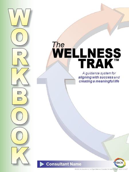 A guidance system for aligning with success and creating a meaningful life BACK Consultant Name © 2005 IDS Solutions Inc. • All Rights Reserved • Duplication.