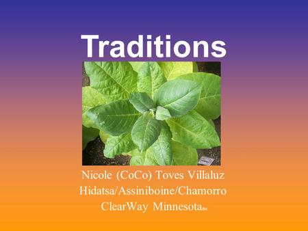 Nicole (CoCo) Toves Villaluz Hidatsa/Assiniboine/Chamorro ClearWay Minnesota SM Traditions.