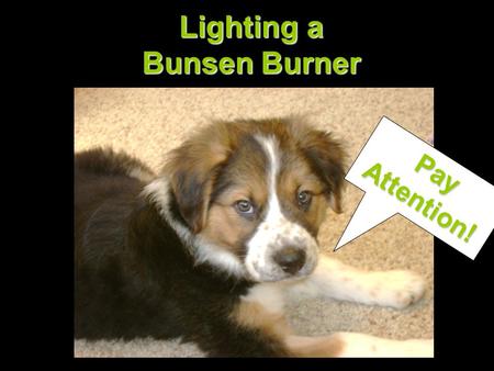 Lighting a Bunsen Burner PayAttention!. Check the rubber hose for cracks and signs of deterioration. Replace the hose if necessary.