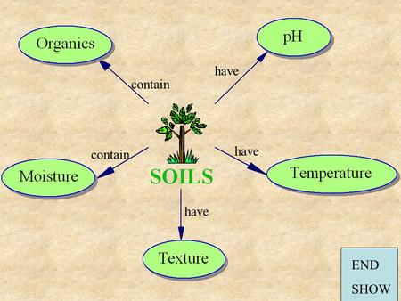 Contain have END SHOW. Soil is Important! Soil is the link between the rocky crust of the Earth and all life on the Earth’s surface. It is a subsystem.