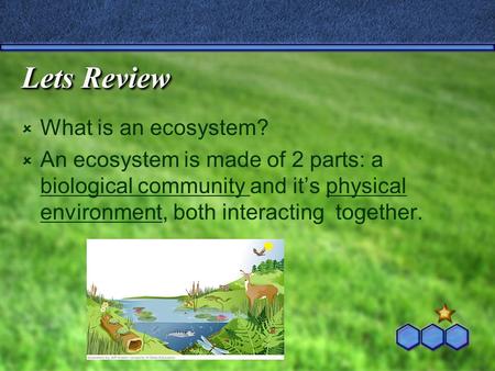 Lets Review  What is an ecosystem?  An ecosystem is made of 2 parts: a biological community and it’s physical environment, both interacting together.