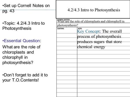 4.2/4.3 Intro to Photosynthesis