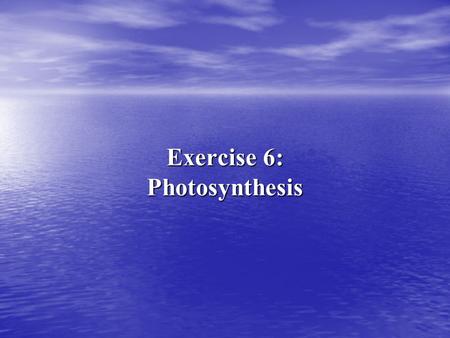 Exercise 6: Photosynthesis. Questions that will be addressed: Where does the carbon that organic molecules are made of come from? Where does the carbon.