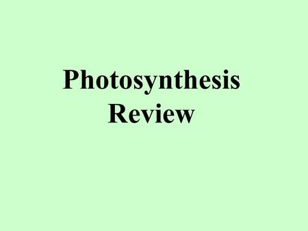 Photosynthesis Review