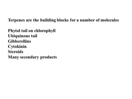 Terpenes are the building blocks for a number of molecules Phytol tail on chlorophyll Ubiquinone tail Gibberellins Cytokinin Steroids Many secondary products.