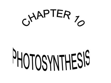 CHAPTER 10 PHOTOSYNTHESIS.