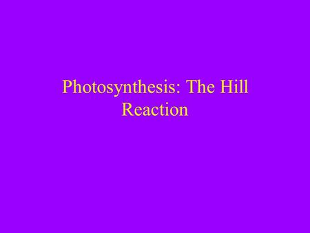 Photosynthesis: The Hill Reaction. Announcements -There is a quiz next week that will cover Fermentation and Photosynthesis. -home work is posted on my.