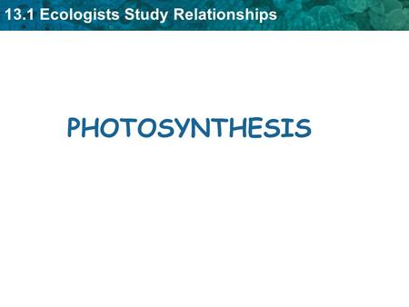 PHOTOSYNTHESIS.