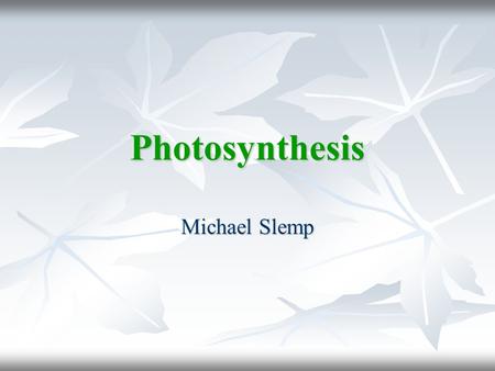 Photosynthesis Michael Slemp. BELL WORK Explain the difference between light dependent reactions to light independent reactions. Explain the difference.