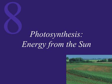 Photosynthesis: Energy from the Sun