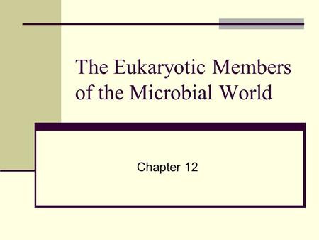 The Eukaryotic Members of the Microbial World