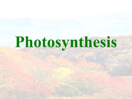 Photosynthesis. THE BIG PICTURE Scientists discovered that in the presence of light, plants transform CO 2 and water into carbohydrates and release oxygen.