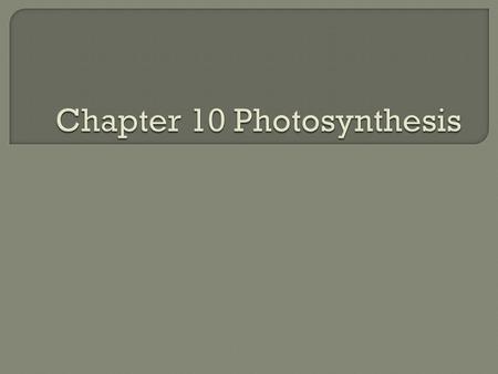 1. Compare and contrast heterotrophs to autotrophs. 2. Write the balanced equation for photosynthesis. 3. Why is the leaf shaped and structured as it.