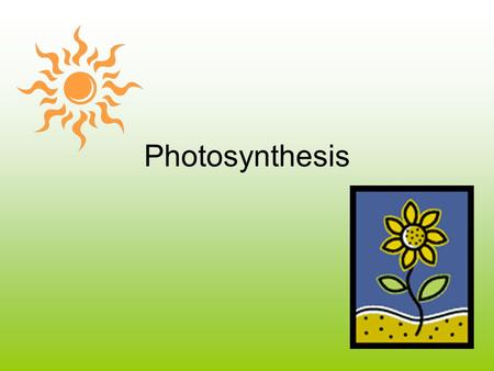 Photosynthesis.