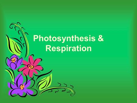 Photosynthesis & Respiration