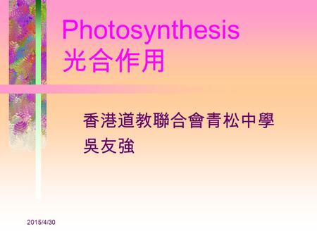 2015/4/30 Photosynthesis 光合作用 香港道教聯合會青松中學 吳友強 2015/4/30 Leaf 葉片 X-section 橫切面 : Palisade mesophyll 柵狀葉肉 Chloroplast 葉綠體 Quick Revision : Where does photosynthesis.