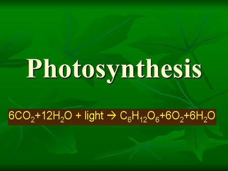 Photosynthesis.