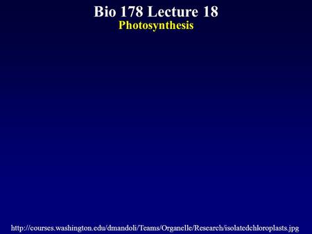 Bio 178 Lecture 18 Photosynthesis